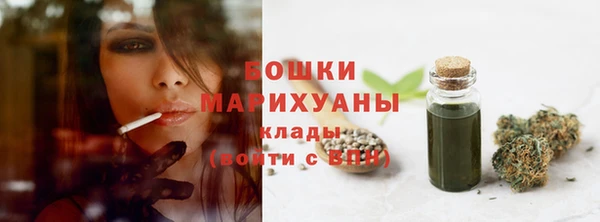 СК Дмитровск
