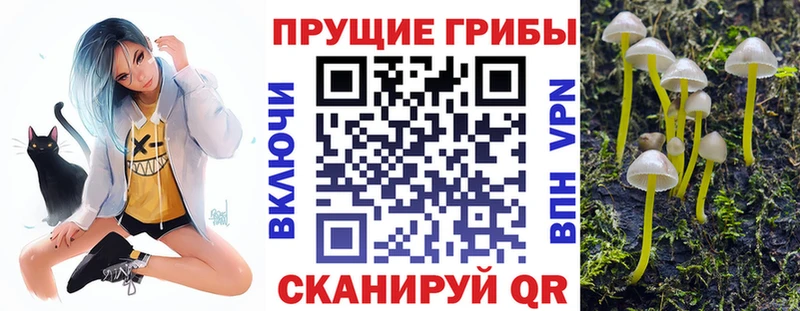 Галлюциногенные грибы мицелий  Купить где  Барабинск 